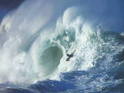 Waimea
